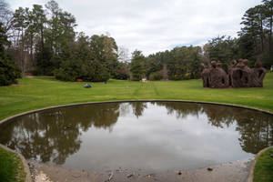 公園裡一個寧靜的池塘，有一個大型樹枝雕塑，人們在草地上放鬆。