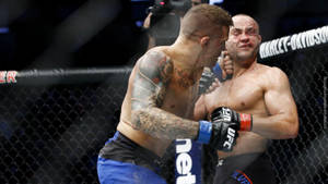 兩名男性拳手在MMA八角籠內交戰。