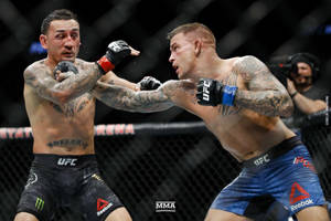 兩名男性拳手在MMA籠中比賽時互相出拳。