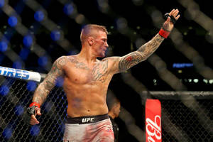 MMA拳手在血戰後於八角籠內舉手慶祝勝利。