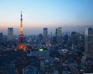 黃昏時分點亮的東京鐵塔，背景中城市燈光閃爍。