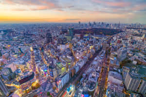 日落時分的東京城市景觀，閃爍的霓虹燈和密集的建築物。
