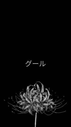 一幅風格化的黑白蜘蛛百合插圖，上方有日文文字。 — 東京喰種角色 壁紙
