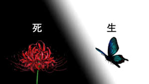 黑色一側標有「死亡」的紅色彼岸花，白色一側標有「生命」的藍色蝴蝶。 — 黑白 壁紙