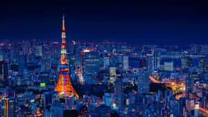 夜晚點亮的東京塔及下方的城市燈光