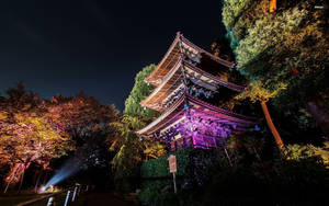 夜晚發光的日本寺廟，周圍環繞著被照亮的樹木。