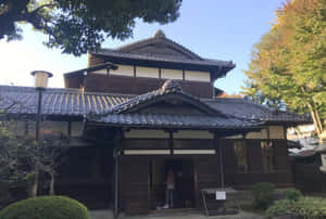 傳統日本木屋，瓦頂和秋樹，日光下。