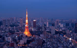 黃昏時分，東京塔被照亮，下方是密集的城市景觀，街道閃爍。 — 日本 壁紙