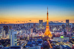 日落時分東京鐵塔亮燈，下方城市燈光閃爍。 — 夜景城市 壁紙