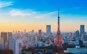 日落時分的東京鐵塔與城市天際線和秋樹 — 日本 壁紙