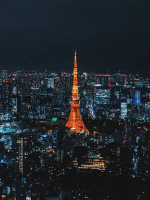 夜晚的東京塔照亮了密集的城市景觀，建築物閃閃發光。 — 日本 壁紙