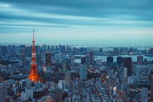 黃昏時分點亮的東京塔，背景有城市燈光和水面 — 日本 壁紙
