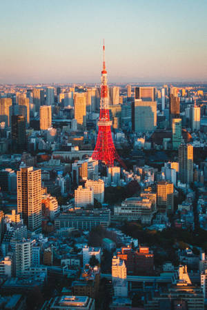 東京塔在金色夕陽映襯下泛著紅光，矗立於城市天際線之上。 — 日本 壁紙