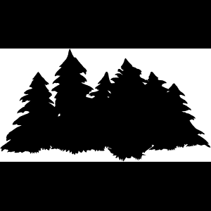 松林剪影