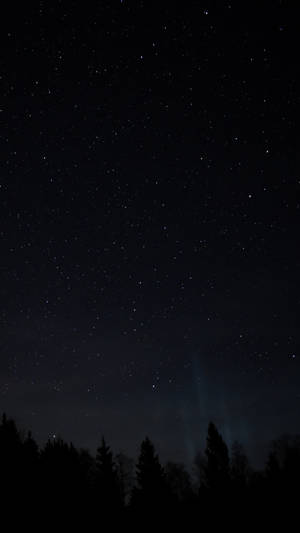 北極光在星空下的夜晚森林上空閃耀。