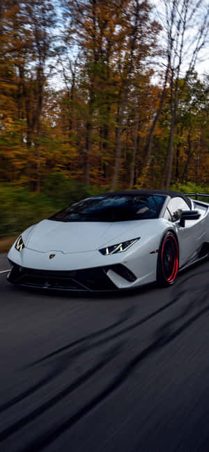 白色林寶堅尼Huracán Spyder在秋葉林間的道路上疾馳。