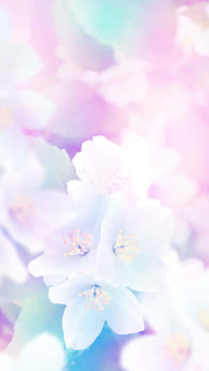 精緻嘅粉彩花朵喺柔和夢幻嘅光線中閃耀。 — 春天 壁紙