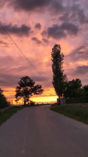 日落時分蜿蜒的道路，樹木和色彩繽紛的天空。