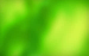鮮綠色抽象漸變背景，帶有輕柔模糊過渡。 — 淺綠色美學動態圖 壁紙