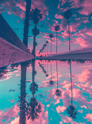 棕櫚樹在黃昏的粉紅色和藍綠色天空下倒映在水中。