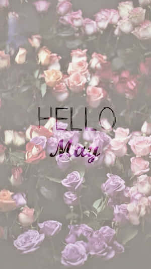 Hello May 文字疊加在粉紅色和紫色玫瑰束上。