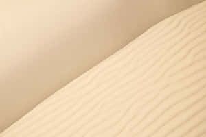 柔和米色調波紋沙丘的特寫。 — 純色 壁紙