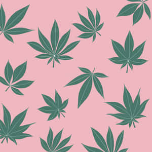 粉紅色背景上的綠色楓葉圖案