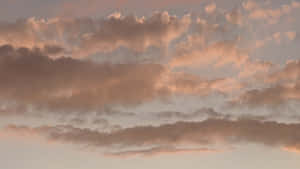 粉紅色和灰色雲朵在黎明或黃昏時分飄過平靜的天空。 — 藍天 壁紙