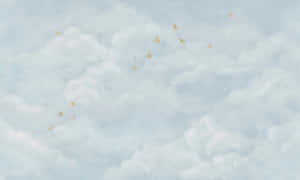金色的鳥兒在寧靜的天空中穿過柔軟的白雲翱翔。 — 橙果 壁紙