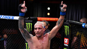 MMA 拳手在八角籠內高舉雙拳慶祝勝利。