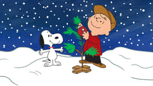 查理布朗和史努比在夜間的雪地中裝飾一棵小聖誕樹。