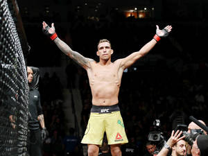 MMA拳手在UFC八角籠內高舉雙臂慶祝勝利。