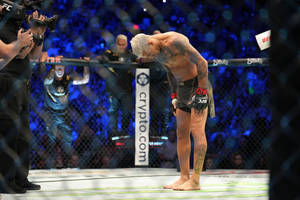 一位落敗的UFC鬥士在比賽後於八角籠內低頭。