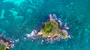 一個被綠色樹木覆蓋的小岩石島，被藍綠色海水和拍岸的波浪環繞。 — Pro Display XDR 壁紙