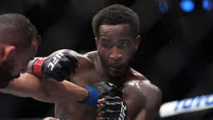 兩名男性MMA拳手在比賽中於UFC八角籠內互毆。 — 運動 壁紙