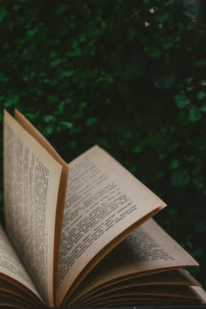 書本美學圖片 — 森林王子 壁紙