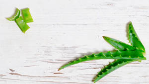 白色木頭上的新鮮蘆薈葉和切片。 — 植物 壁紙