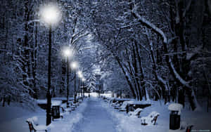 夜晚積雪的公園小徑，發光的街燈和積雪的長椅。