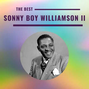 Sonny Boy Williamson II 微笑穿西裝的肖像，背景為彩虹色。