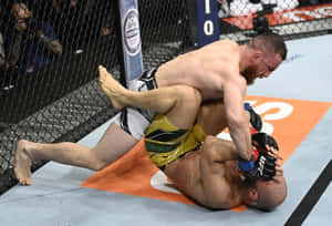 兩名MMA拳手在籠賽中被鎖喉鎖住。