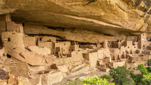 古代懸崖住所普韋布洛遺址，位於巨大砂岩懸崖下，下方有綠樹。