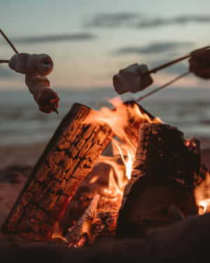 夕陽下在海灘營火上烤的棉花糖。 — 露營 壁紙