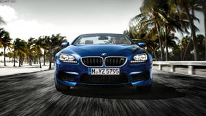 藍色BMW M6開篷跑車在棕櫚樹成蔭的道路上行駛。 — 藍色 壁紙