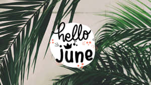 棕櫚葉圍繞一個帶有 hello june 文字的白色圓圈。