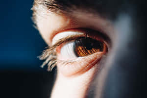 人類眼睛的特寫，虹膜呈金棕色，睫毛細節清晰可見。