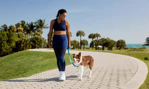 女士用牽繩帶著她的邊境牧羊犬沿著海邊小徑散步，旁邊有棕櫚樹。