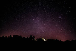 一個星空夜空，發光的銀河在黑暗的森林和亮燈的房子之上。