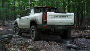 白色Hummer EV卡車在岩石森林小徑上行駛。 — 汽車 壁紙