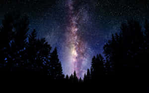 銀河系在繁星點點的夜空下，在黑暗的松樹剪影上方拱起。