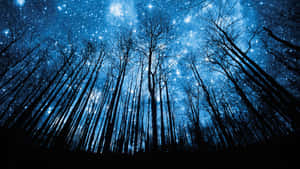 夜空圖片